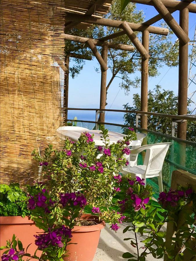 Casa Luisa & Milu , Coastal Retreats In Furore! エクステリア 写真